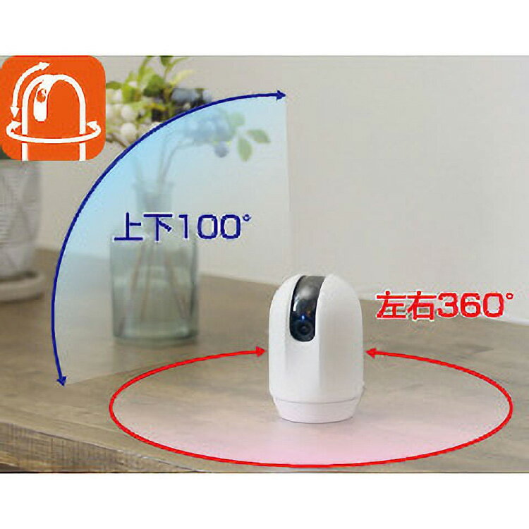 JL ��å����� ����ꥫ��� LOOK ��4�ġ�