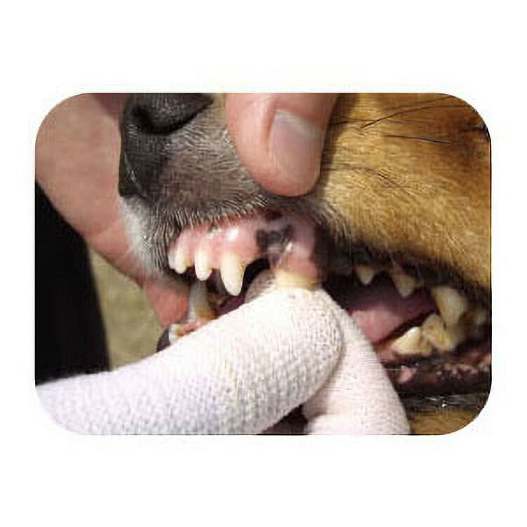 JL �ޥ���ɥ��å� �������� ��ӻ��֤餷 ��120�ġ�