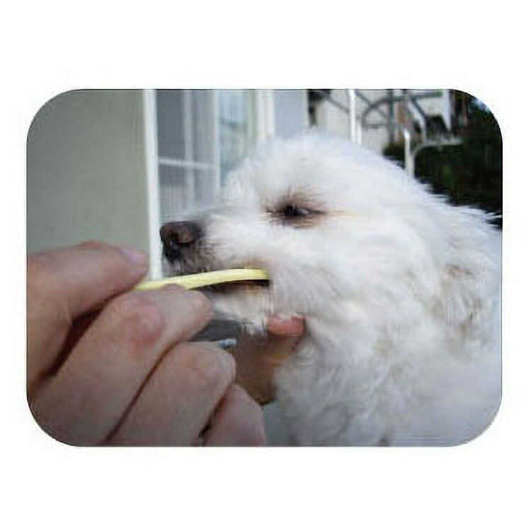 JL �ޥ���ɥ��å� ������ ���եȸ��ѻ��֥饷 ���⡼��إå� ��120�ġ�