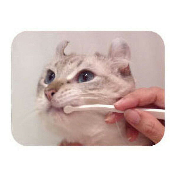 JL �ޥ���ɥ��å� ǭ������ ǭ�ѻ��֥饷 �ޥ������إå� ��120�ġ�