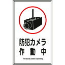 TR 緑十字 イラストステッカー標識 防犯カメラ作動中 200×120mm 10枚組