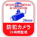 TR 緑十字 ステッカー標識 防犯カメラ・24時間監視 100×90mm 5枚組 エンビ