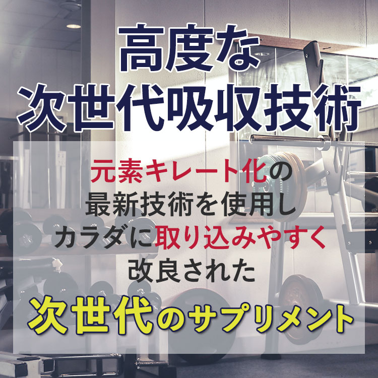 AllMAX ZMX2 アドバンスド 90粒 亜鉛 マグネシウム ビタミンB6 オールマックス ZMA...
