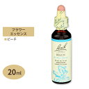 バッチフラワー レメディ ビーチ 20ml （0.7floz） Bach Flower