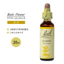 ネルソンバッチ バッチオリジナルフラワー レメディ ゴース 20ml (0.7floz) Nelson Bach Original Flower Remedy Gorse フラワーエッセンス