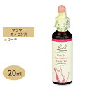 バッチフラワー レメディ ラーチ 20ml（0.7floz） Bach Flower