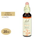 バッチフラワー レメディ ミムラス 20ml（0.7floz） Bach Flower