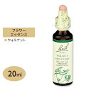 バッチフラワー レメディ ウォルナット 20ml（0.7floz） Bach Flower