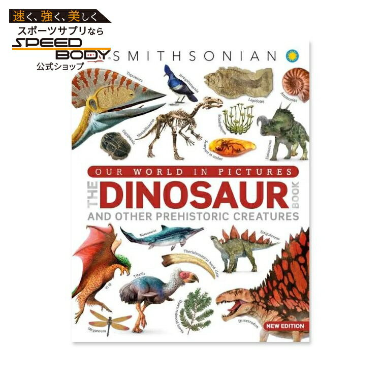 ں1400OFFݥۡνۥ   ԥ㡼  ʥ ֥å [DKOur World in Pictures The...