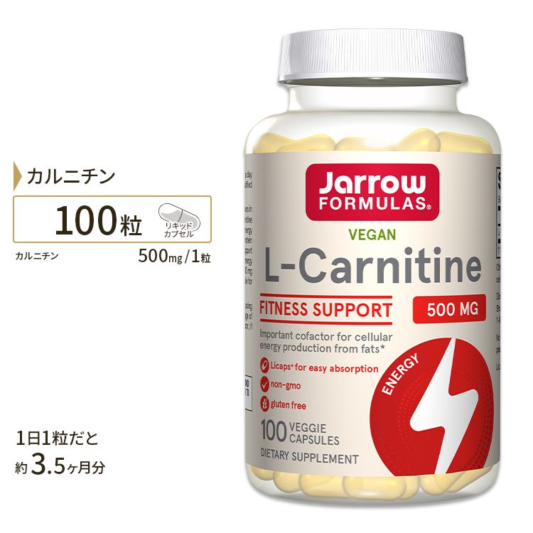 カルニチン サプリメント L-カルニチン 500mg 100粒（リキッドカプセル） サプリメント サプリ ダイエットサプリ カルニチン配合 Lカル..