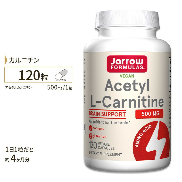 W[tH[~Y AZ` L-Jj` 500mg 120 xWJvZ Jarrow Formulas Acetyl L-Carnitine 500MG 120VCAPS