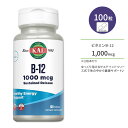 カル ビタミン B-12 1000mg サステインドリリース 100粒 タブレット KAL B-12 Sustained Release 100 Tablets サプリ ヘルスケア ビタミンB B12 シアノコバラミン ビーガン 小さめ