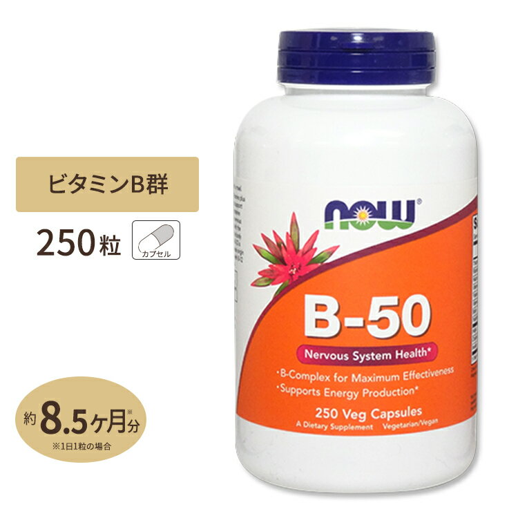 ナウフーズ B-50 サプリメント 250粒 NOW Foods ビタミンB群11種 葉酸 ナイアシン ビオチン パントテン酸 PABA コリ…