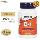 ビタミンB-1 （チアミン）100mg 100粒 NOW Foods(ナウフーズ)