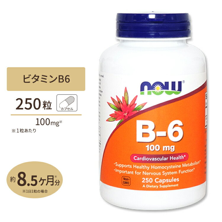 r^~B6 100mg 250 NOW Foods (iEt[Y)