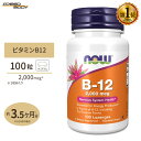 ナトロール ビタミンB-12 チュワブル 5000mcg 100粒 Natrol Vitamin B-12 Fast Dissolve Tablets Chewable ストロベリー味