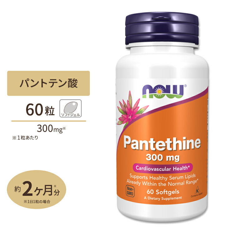 ナウフーズ パンテチン 300mg ソフトジェル 60粒 NOW Foods PANTETHINE 栄養補助食品 ヘルスケア パントテン酸 コエ…