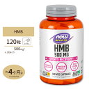 HMB 500mg 120粒《約3ヵ月分》 NOW Foods(ナウフーズ)