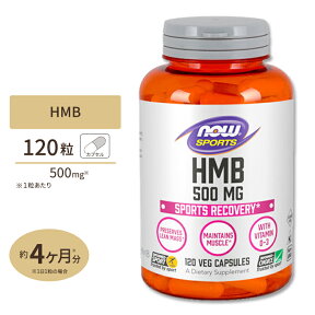 HMB 500mg 120粒《約3ヵ月分》 NOW Foods(ナウフーズ)