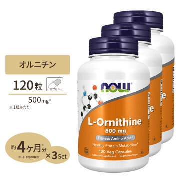 3個セット L-オルニチン 500mg 120粒 NOW Foods(ナウフーズ)