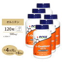 【ポイントUP対象★8月18日20時 - 28日10時】[6個セット] L-オルニチン 500mg (約4か月分) 3粒1500mgの「L-オルニチン」を配合 120粒 NOW Foods (ナウフーズ)