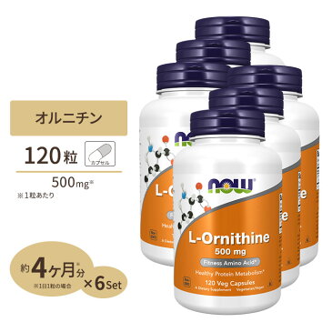 6個セット L-オルニチン 500mg 120粒 NOW Foods(ナウフーズ)