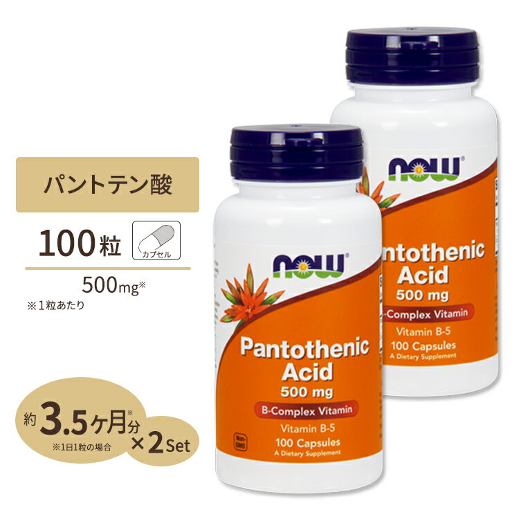 パントテン酸 500mg 100粒 NOW Foods(ナウフーズ) [2個セット]