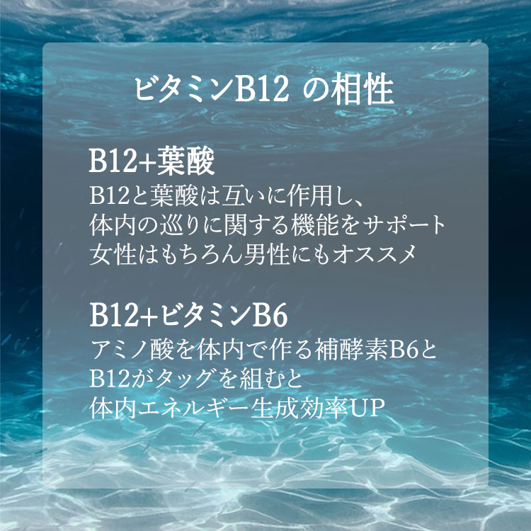 【ポイントUP★15日20時-22日】ナウフーズ ウルトラB-12 ビタミンB リキッド 118ml ...