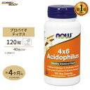 NOW Foods 4x6 アシドフィルス・プロバイオティクス 120粒 ベジカプセル ナウフーズ 4x6 Acidophilus 120vegcapsules