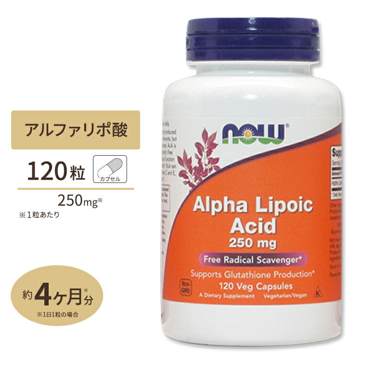 NOW Foods アルファリポ酸 100mg 120粒 ベジカプセル ナウフーズ ALPHA LIPOIC ACID 100mg 120vegcapsules