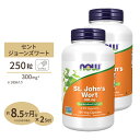 [2個セット] セントジョーンズワート（西洋オトギリソウ） 300mg 250粒 NOW Foods(ナウフーズ) 1