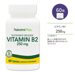 ネイチャーズプラス ビタミン B2 250mg サステンドリリース タブレット 60粒 NaturesPlus Vitamin B2 250 mg Sustained Release Tablets リボフラビン