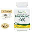 パントテン酸 タイムリリース 1000mg 60粒