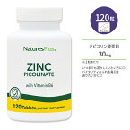 ネイチャーズプラス ジピコリン酸亜鉛 + ビタミンB6 タブレット 120粒 NaturesPlus Zinc Di-Picolinate Complex Tablets ジピコリン酸亜鉛コンプレックス
