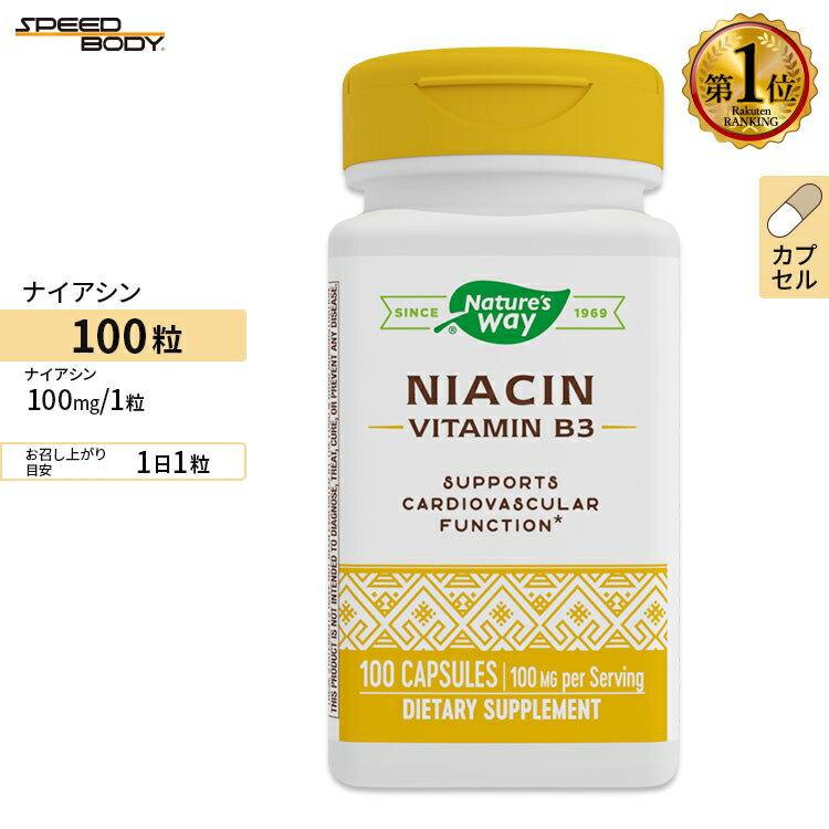 ナイアシン ビタミンB3 100mg 100粒 Nature s Way ネイチャーズウェイ 