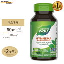 lC`[YEFC Ml}GLX 60 Nature's Way Gymnema Standardized eTv