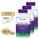 3個セット ナトロール アシドフィルス プロバイオティック 100mg 10億個 150粒 サプリメント プロバイオティクス Natrol Acidophilus Probiotic