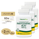 3個セット ネイチャーズプラス パントテン酸 ( ビタミンB5 ) タイムリリース 1000mg 60粒 約2ヶ月分 タブレット NaturesPlus Pantothenicc Acid