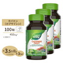 [3個セット] ネイチャーズウェイ カイエン (唐辛子 40000HU) 450mg カプセル 100粒 Nature's Way Cayenne カプサイシン ダイエット