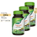 [3個セット]Nature's Way ワイルドヤム 425mg 100粒 ネイチャーズウェイ ビーガンカプセル Wild Yam Root 100vegan capsules 3bottles set