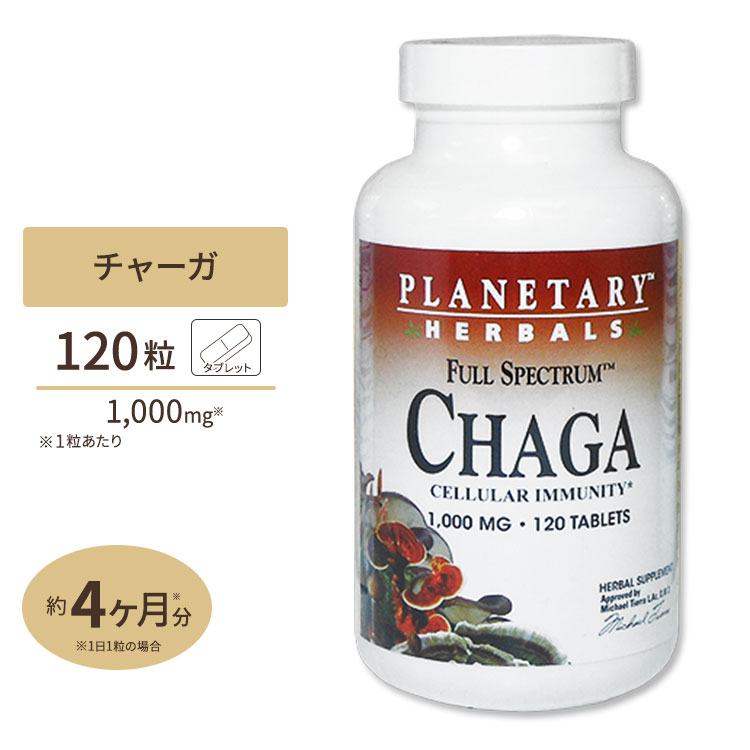 【ポイントUP★3日21時-】プラネタリーハーバルズ チャーガ 1000mg 120粒 タブレット Planetary Herbals キノコ 茸 カバノアナアタケ オーガニック ヘルスケア [お得サイズ]【お取り寄せ商品】【合わせて買いたい】