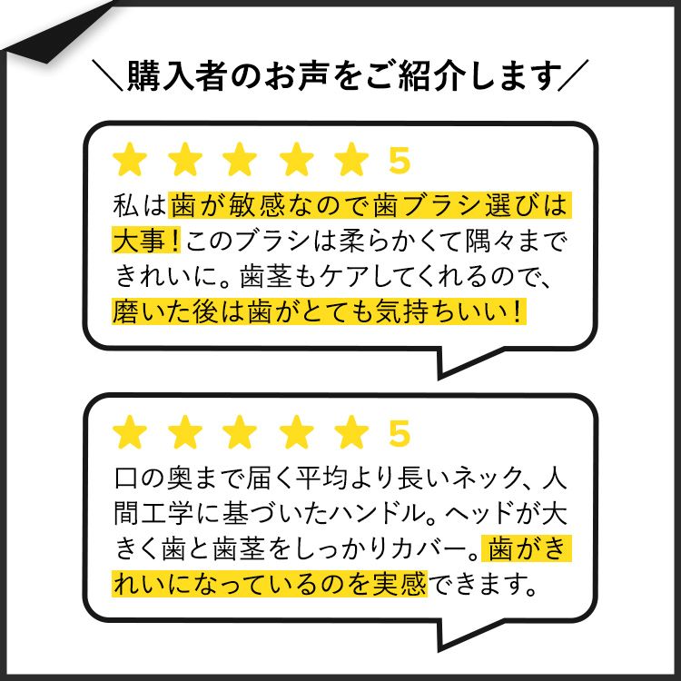 ラディウス ソース フロス ブラシ スーパーソフト USカレンシー Radius Source Floss Brush Super Soft US Currency 歯ブラシ とても柔らかい毛 右利き 左利き 3