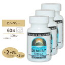 [3個セット] ソースナチュラルズ ビルベリーエキス (アントシアニジン37％) 100mg 60粒 Source Naturals Bilberry Extract 100mg 60Tablets