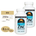 [2個セット] ソースナチュラルズ 亜鉛 50mg 250粒 Source Naturals Zinc 50mg 250Tablets サプリメント サプリ 亜鉛 ダイエット・健康 サプリメント 健康サプリ ミネラル類 亜鉛配合