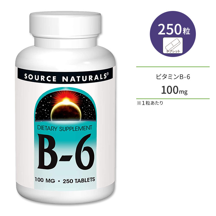 ʥ륺 ӥߥB-6 100mg 250γ ֥å Source Naturals B-6 ץ إ륹 󥱥 