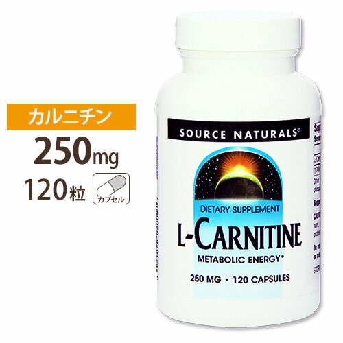 【ポイントUP★3日21時-】ソースナチ