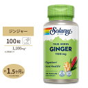 ソラレー ジンジャー (しょうが) 550mg カプセル 100粒 Solaray Ginger Root VegCap