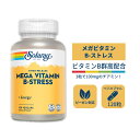 ソラレー メガビタミン B-ストレス タイムリリース 120粒 Solaray Timed Release Mega Vitamin B-Stress 120 veg caps