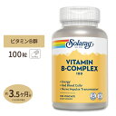 ソラレー ビタミンB100コンプレックス 100mg カプセル 100粒 Solaray Vitamin B-Complex 100 VegCap その1