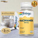 ソラレー ナイアシンアミド サプリメント 500mg 100粒 Solaray Niacinamide ベジカプセル ビタミンB3 with アロエベラ